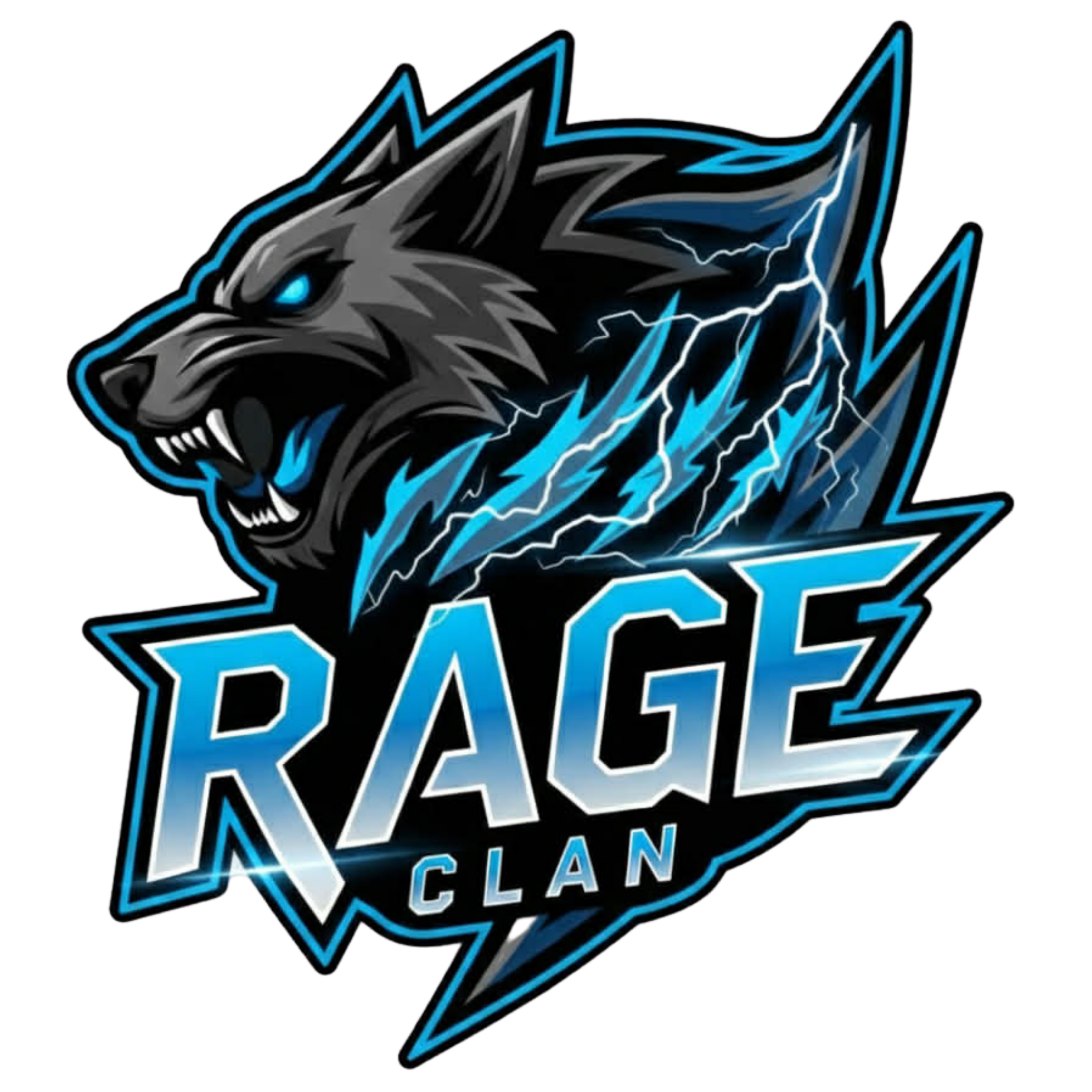 Team Logo